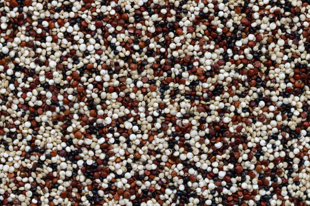 multi coloured quinoa