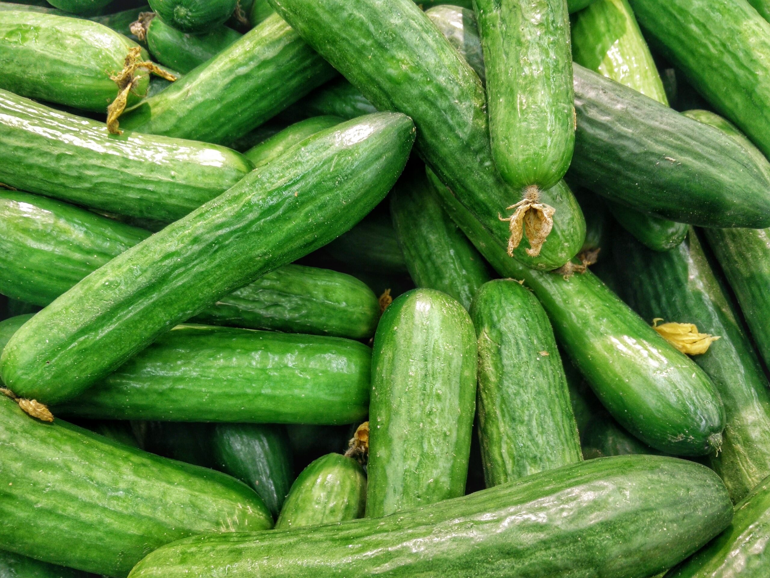 Nutritional Facts about Cucumbers King West Chiropractic